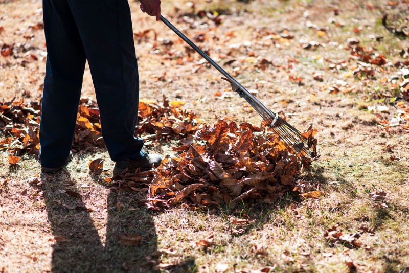 Leaf Raking in Action