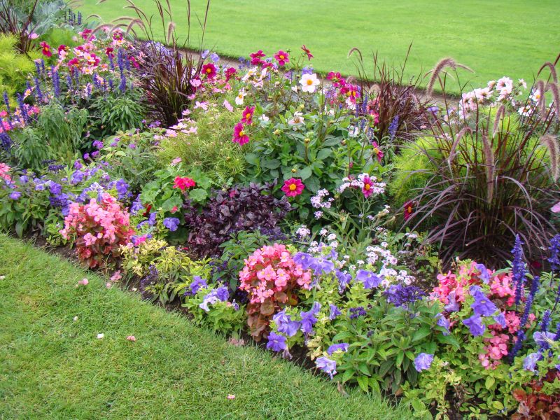 Flowerbed Beautification