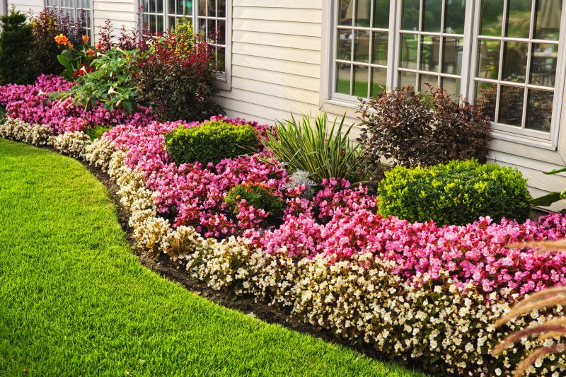 Decorative Borders