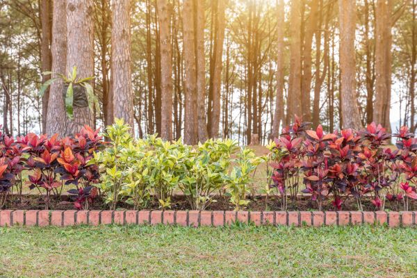 Small Garden Landscaping